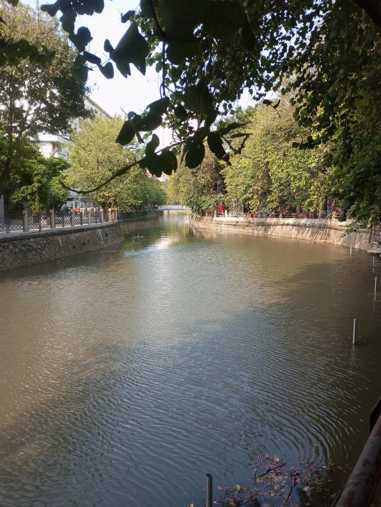 阳光明媚风和日丽嘅下午漫步瑶溪碧道欣赏家乡美景，美丽景色使人心情愉悦抛去忧愁广州