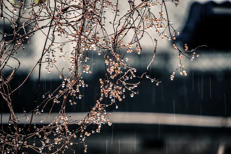 上联；绵绵细雨千般意，诚邀下联下联：点点涟漪几多情。