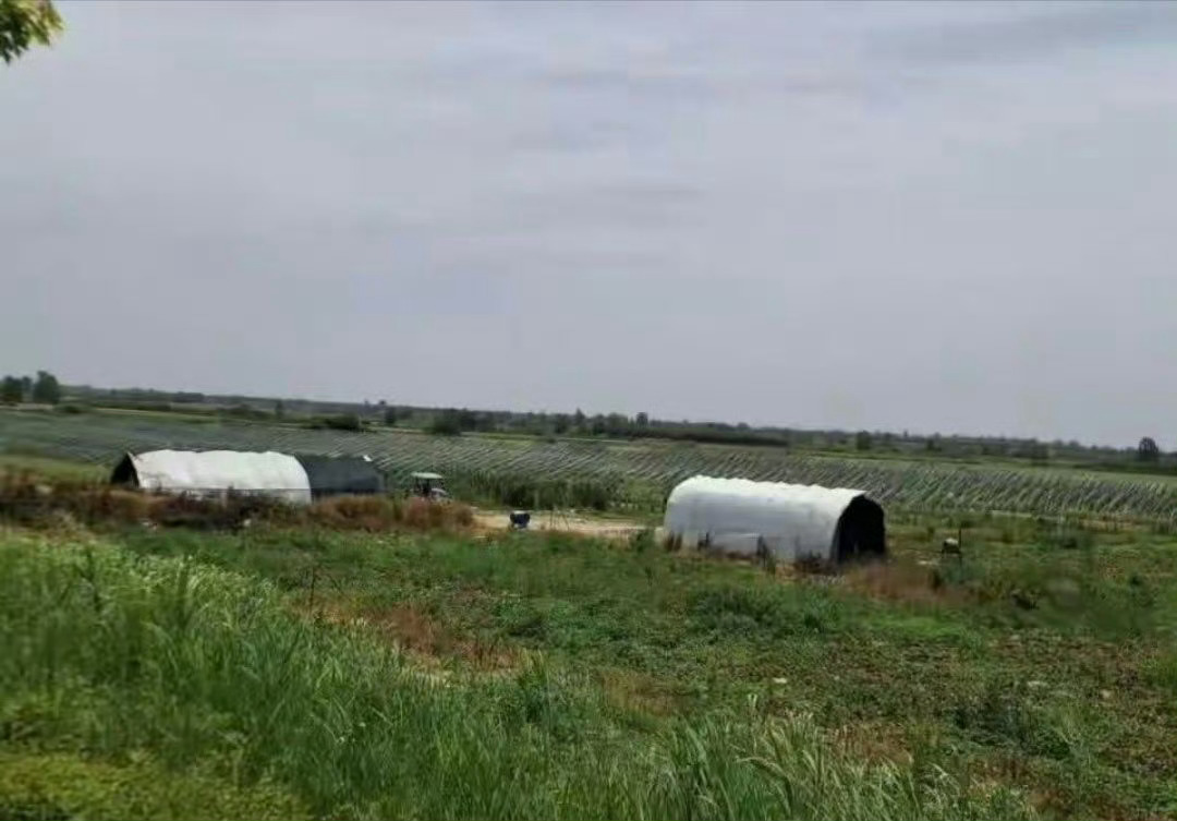 【渭河咸阳兴平段行洪区内存在垃圾堆积与违规耕种 防汛安全隐患突出】当前正值渭河主