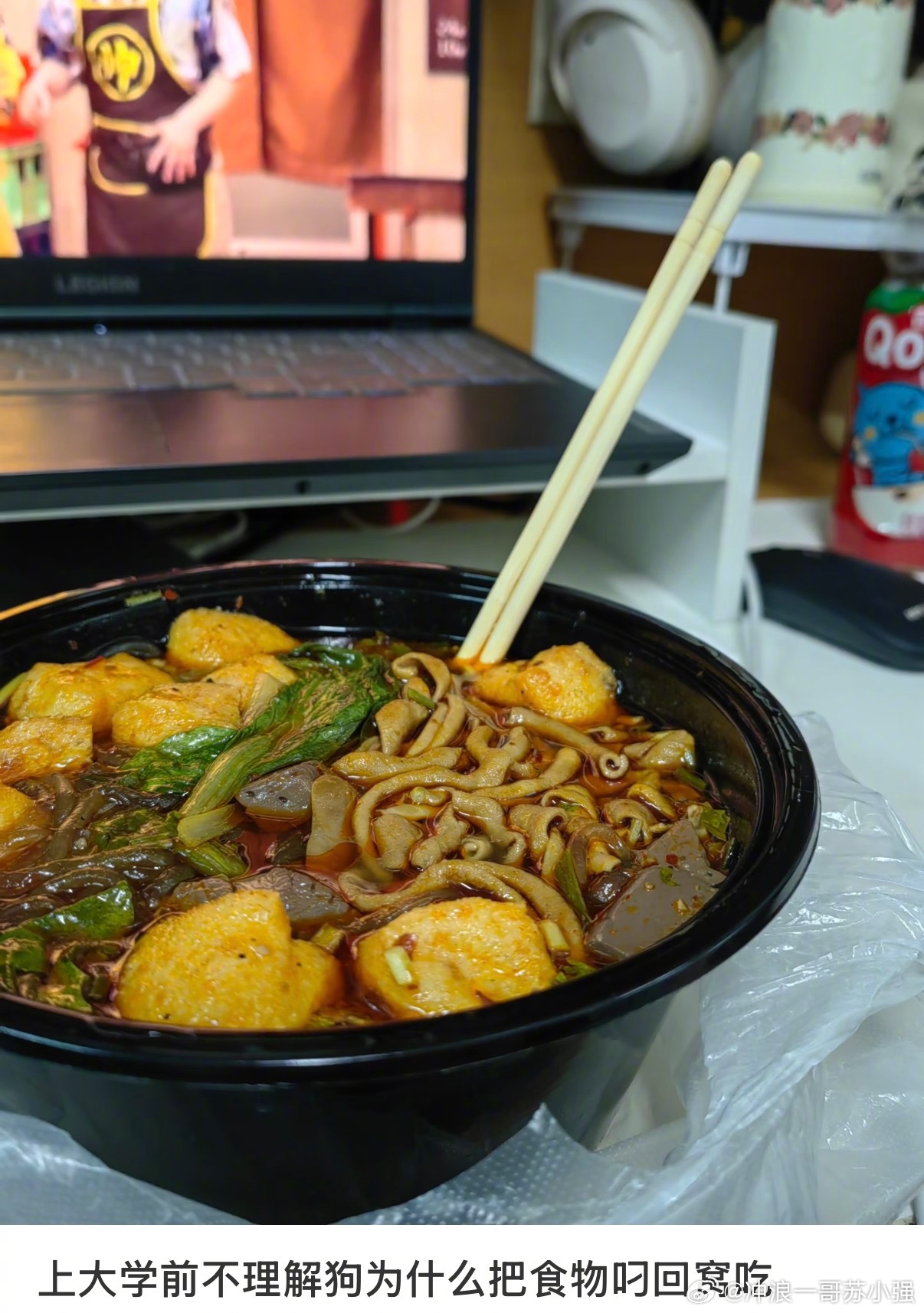 上大学前不理解狗为什么要把食物叼回窝里吃 