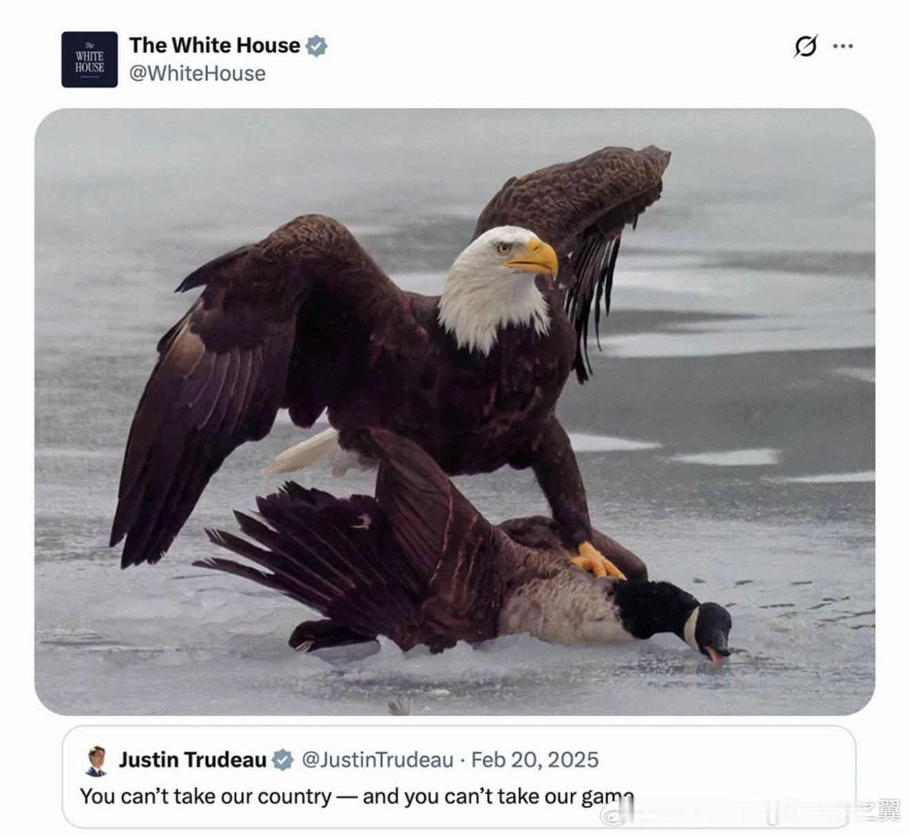 在美国冰球队战胜加拿大夺得冬奥会金牌后，白宫发布了一张白头鹰踩着加拿大鹅的照片。