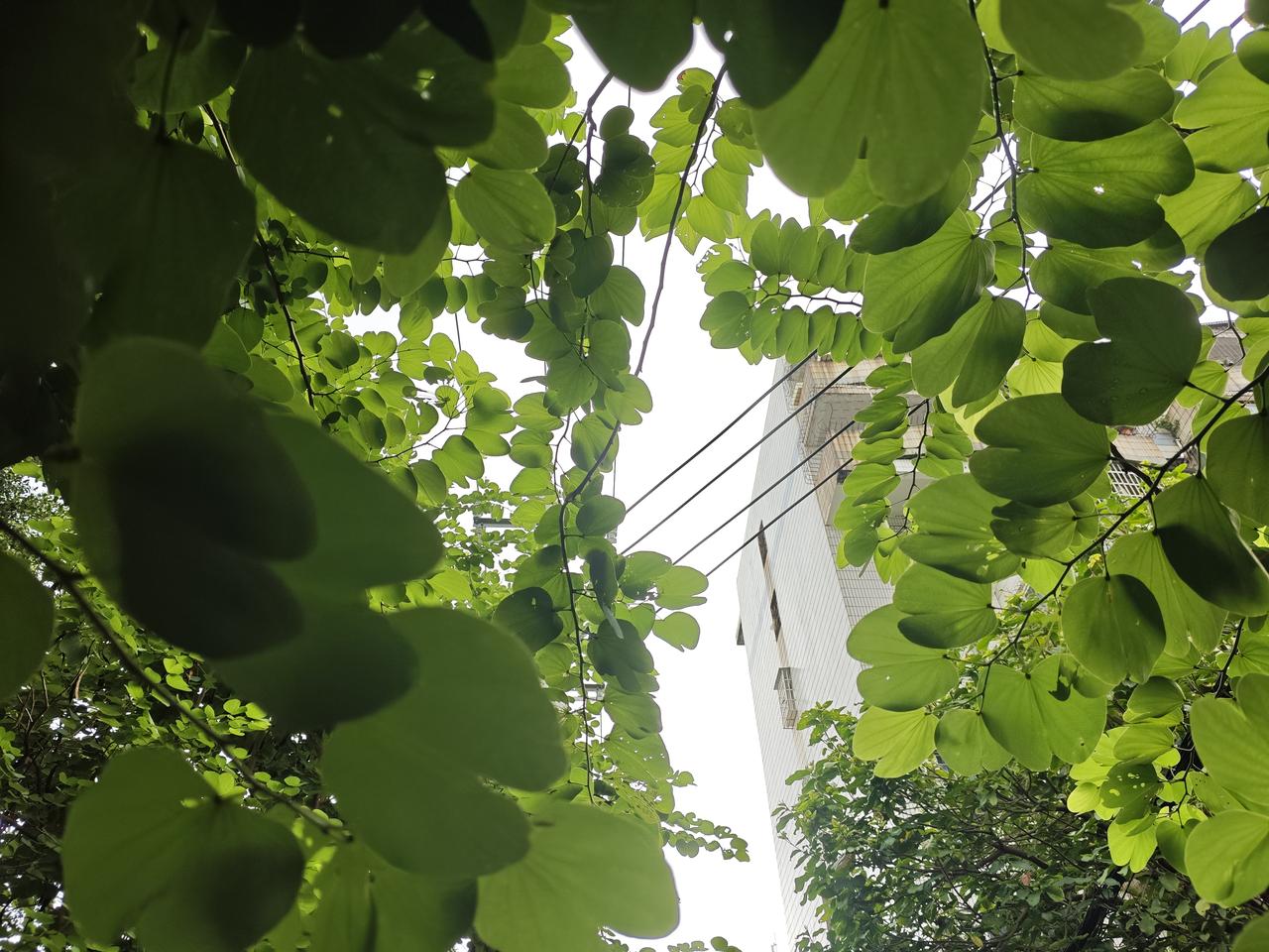 凡是敢当着你的面，口无遮拦、出言不逊，说话让你感到不舒服的人，和他的情商高低没有