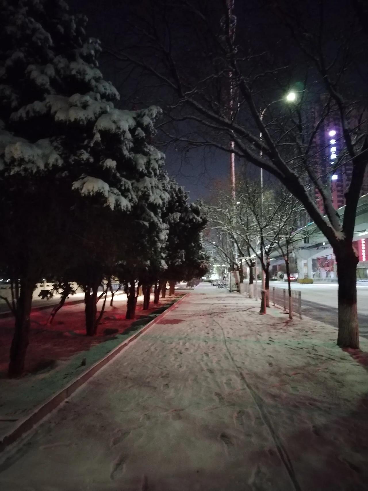 [飞雪迎春雪后庆新年•我爱你兰州的雪]
要说“强寒潮强降温”说一不二
兰州202