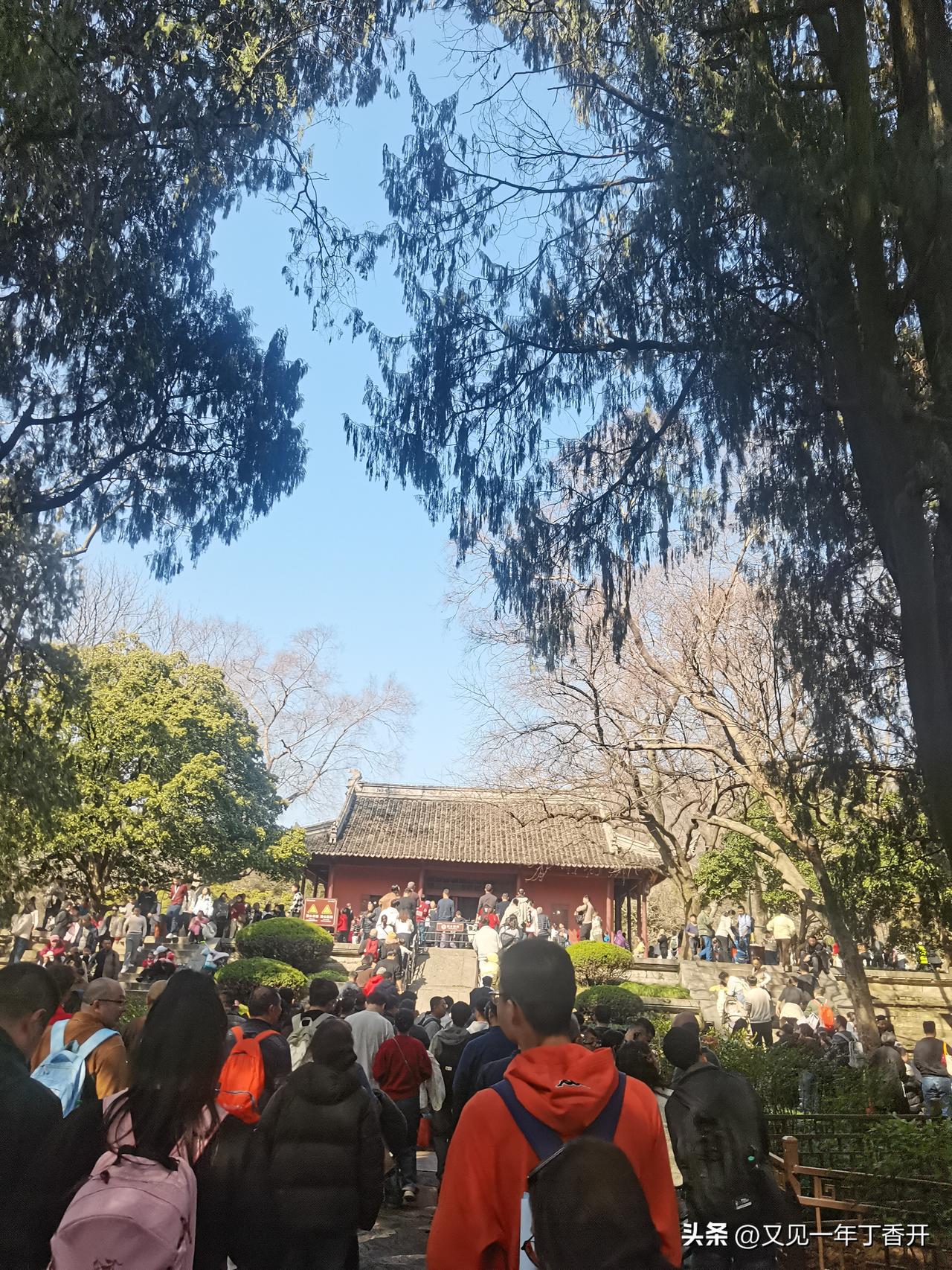 春日生活打卡季这个行吗