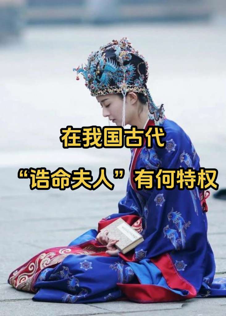 当了诰命夫人究竟有多爽？诰命夫人是唐、宋、元、明、清各朝对高官的母亲或...