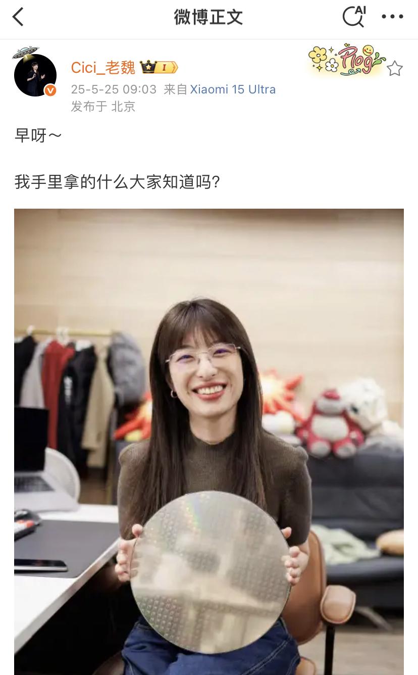 这一大块晶圆得多少钱啊
