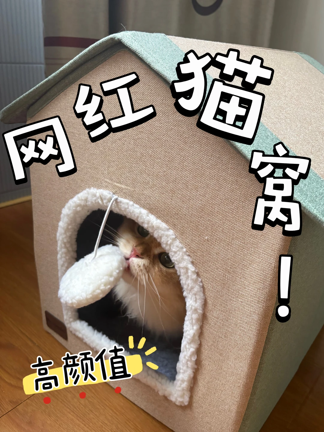 还睡纸箱？这个ins风猫窝也太好看了吧！📦🚫
