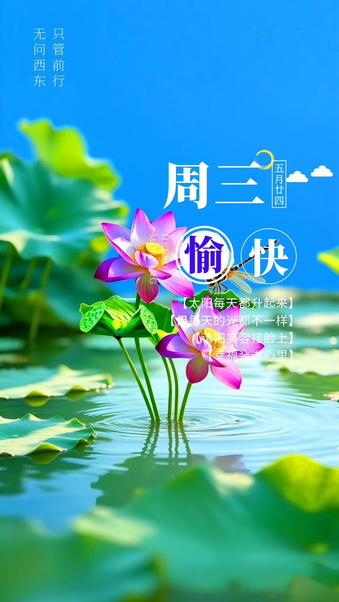 人生不用太较真，不是所有事都要争个输赢对错。很多事过去了就过去了，人要学会往前看