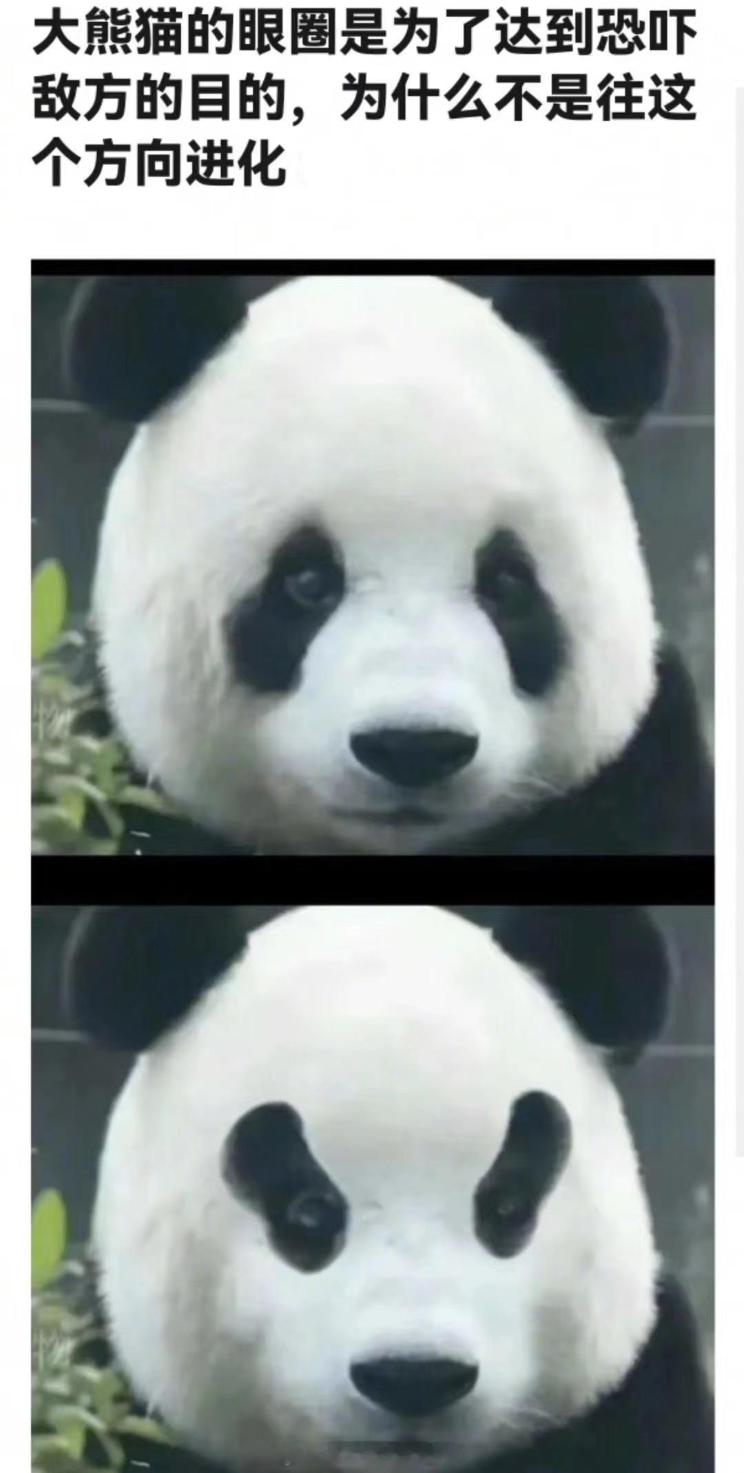 设计这门学问… 细节上稍微修改一点点 整体效果就会截然不同.. 比如造物主给大熊