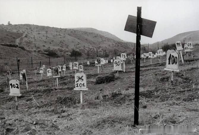 🟥编号坟墓：自1948年以来，以色列扣押了776名巴勒斯坦烈士的遗体！这些不只