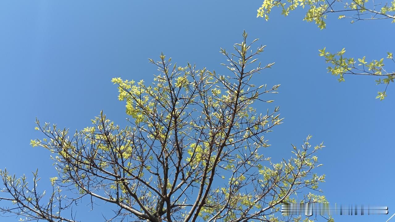 一位乡镇卫生院的主任医师说:
我一个主任医师，在乡镇卫生院上班，每天做的事情就是