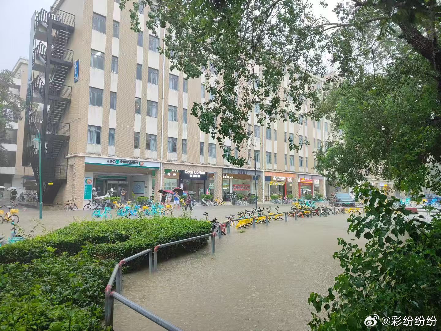 这些天我们这一直断断续续在下雨 从昨晚起的大雨一直下到现在还没停 不仅路面是湿的