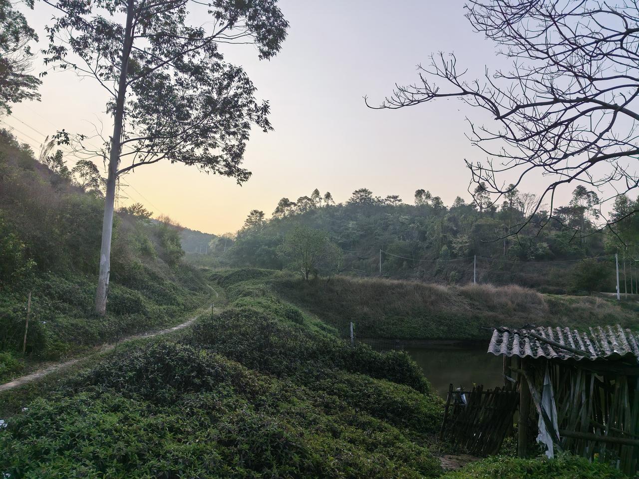 把网约车开成了养生车
把奋斗的人生活成养生

这有一种在奔波红尘中修炼出禅意的感