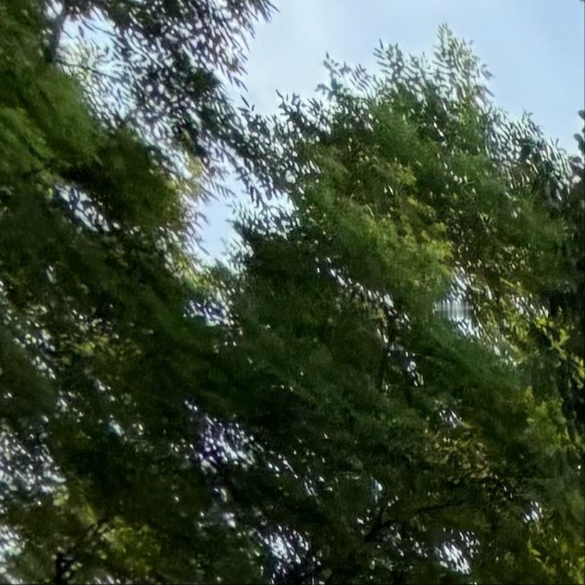 阳光信用 每日‎一善 努力去做一个温暖的人，用真心对世界微笑，用眼泪提醒自己要做
