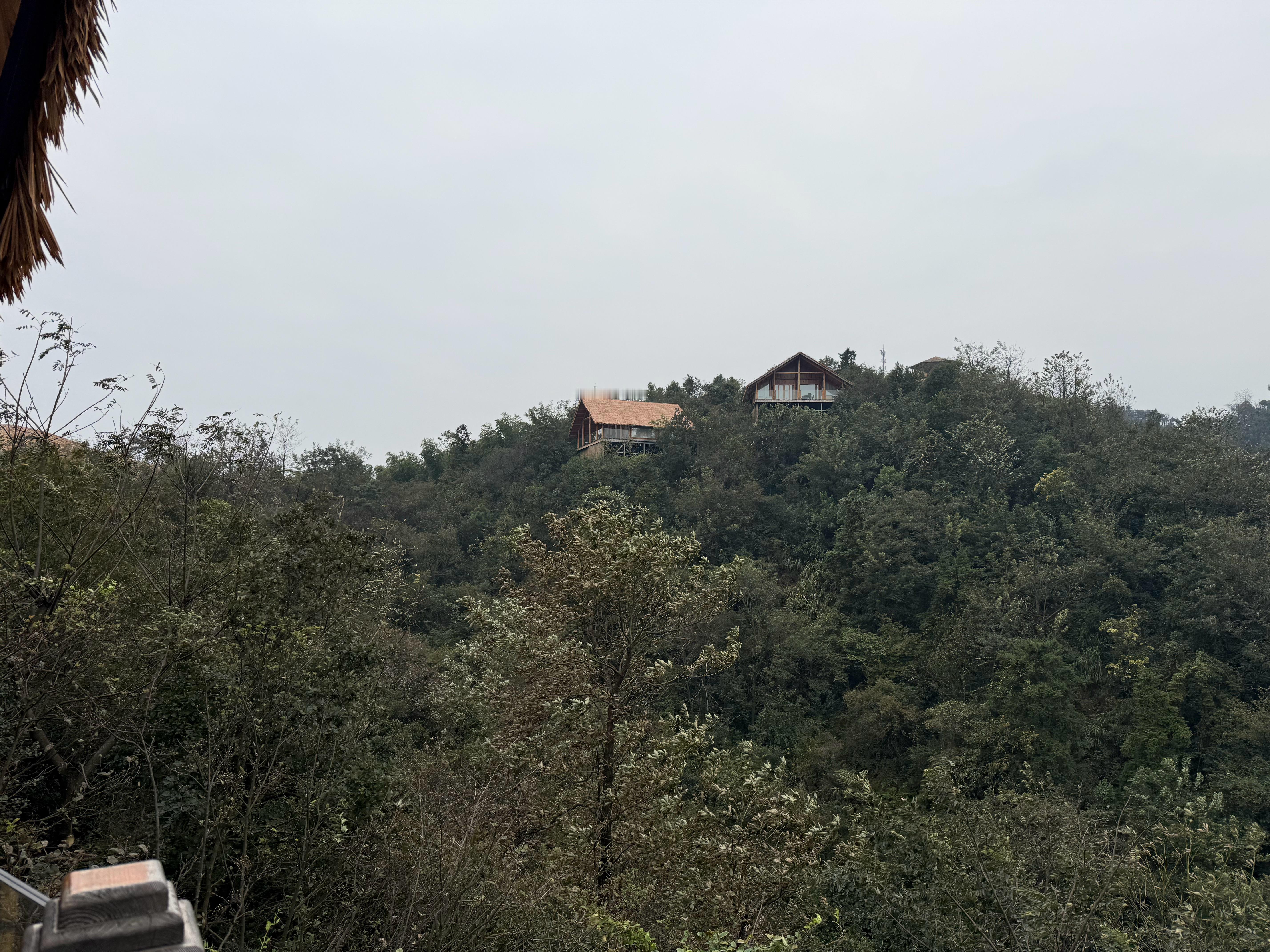忙里偷闲，到山里安静一天[开学季]  ​​​
