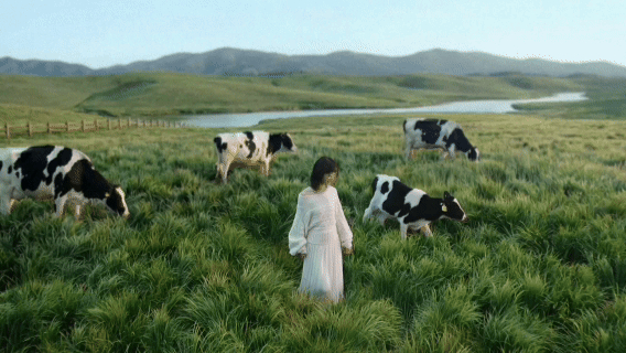 赵丽颖不在内娱，在草原！听赵丽颖在草原上慢慢说着“不用太着急”，突然觉得心里的焦