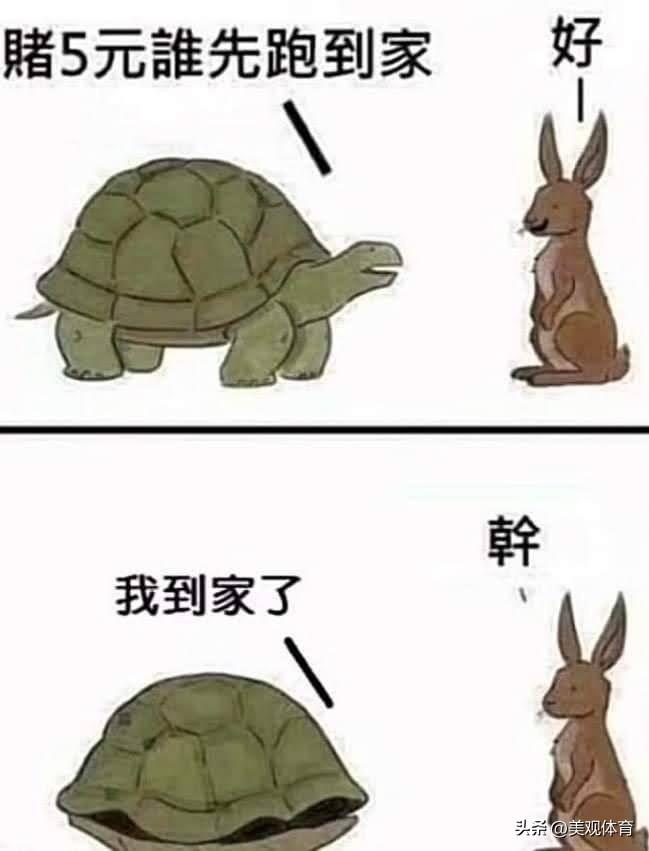 乌龟：从坚韧到智取