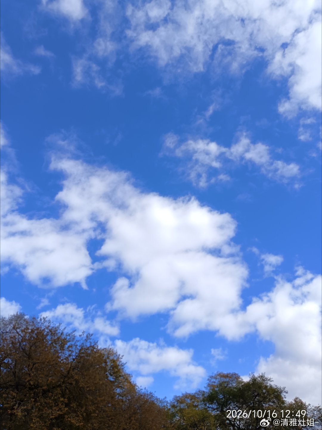 云在蓝天闲散叶 在地上归根这是秋天独有的浪漫！  ​​​