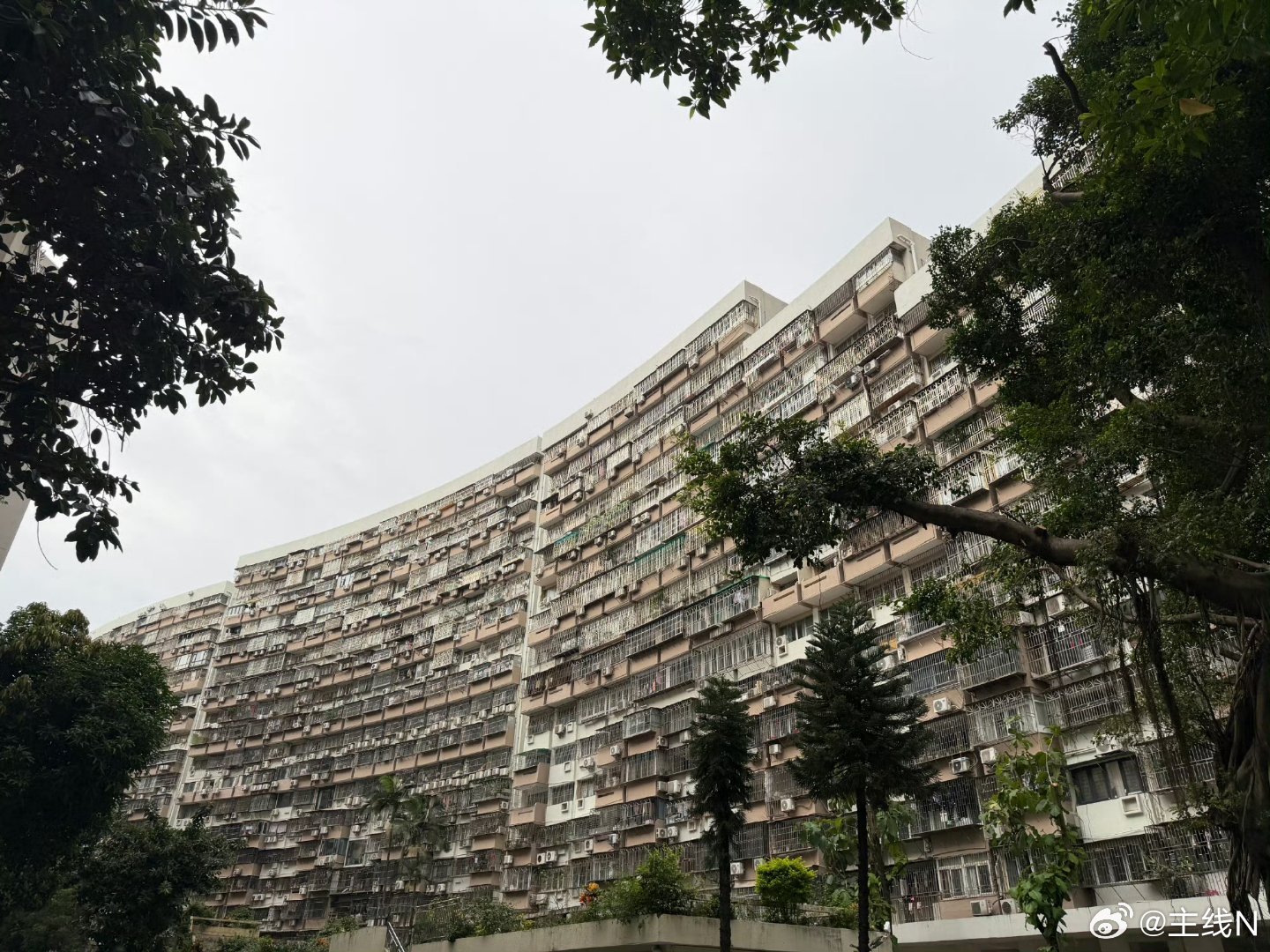 追求上进的人就坚持学习、努力工作否则一事无成的痛苦会折磨一辈子 