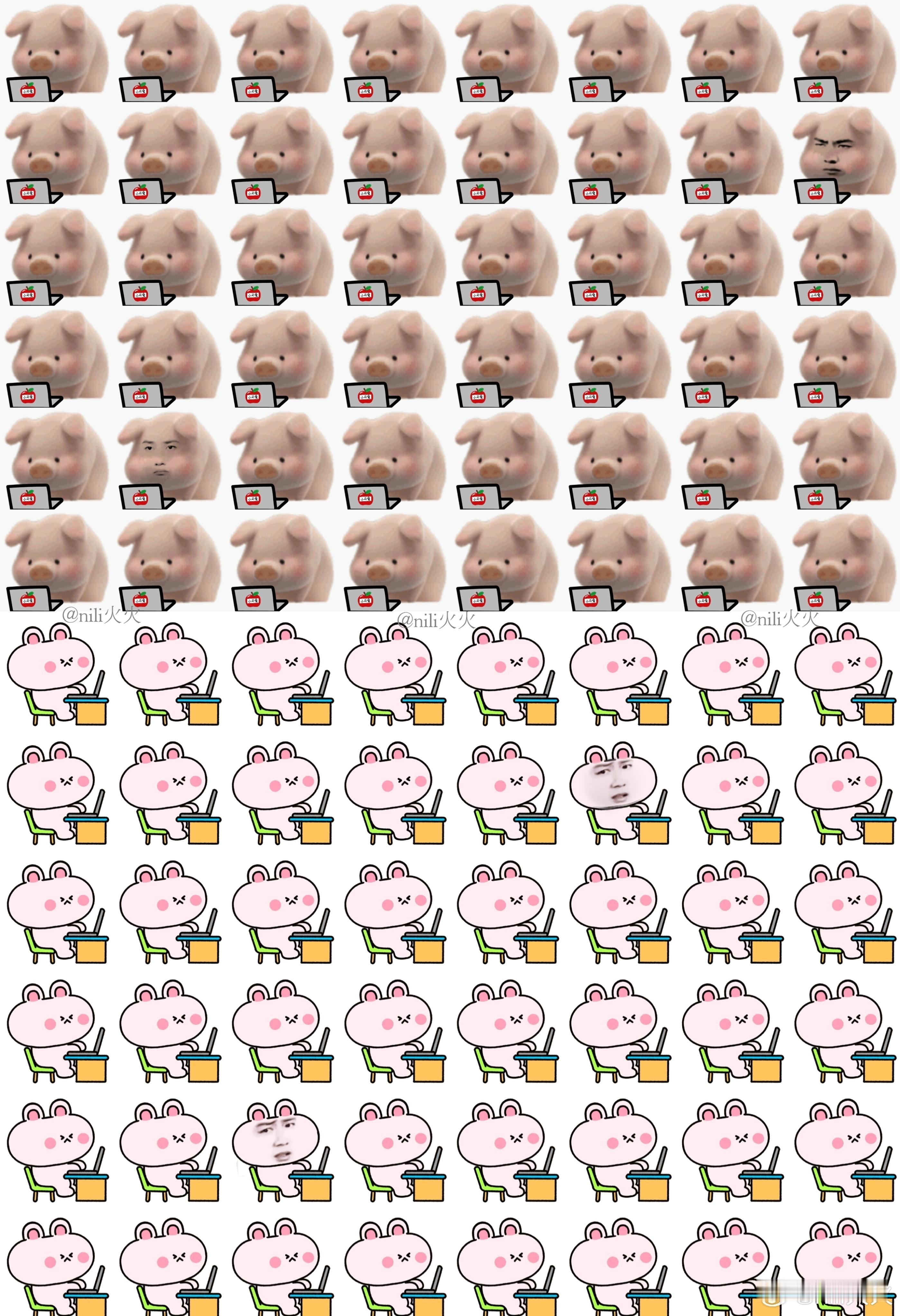 博君一肖[超话] 🐷🐰 博君一肖 考眼力，你能不能找出所有不同[偷笑] ​​