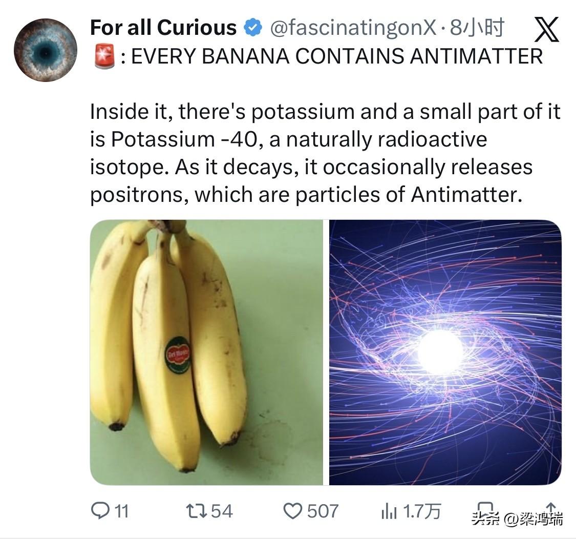 每根香蕉都含有反物质，它内部含有钾，其中一小部分是钾-40，一种天然放射性同位素