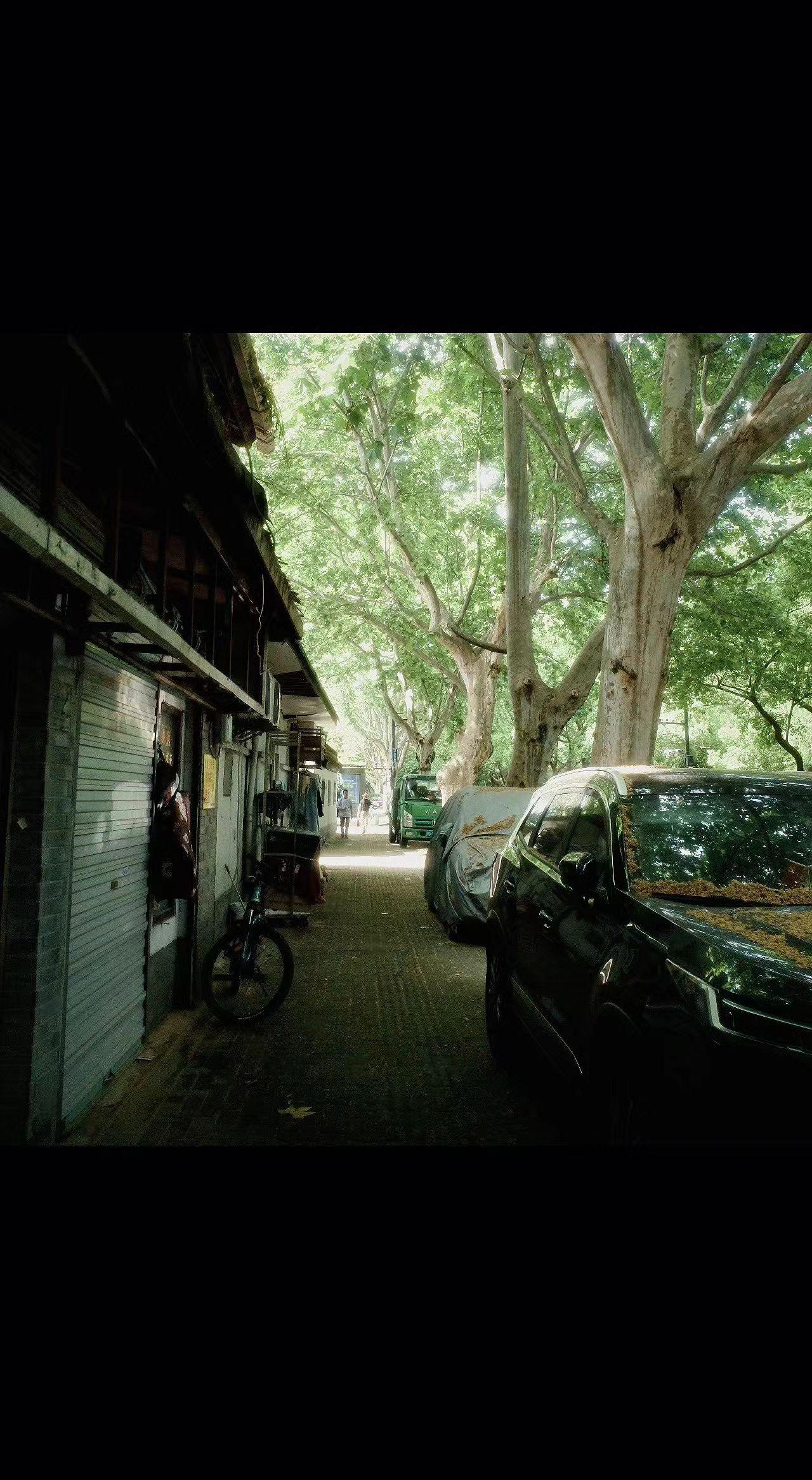 🌳树影把时光剪成碎片，老巷藏着城市的心跳💓。砖瓦会说话，单车在等谁？