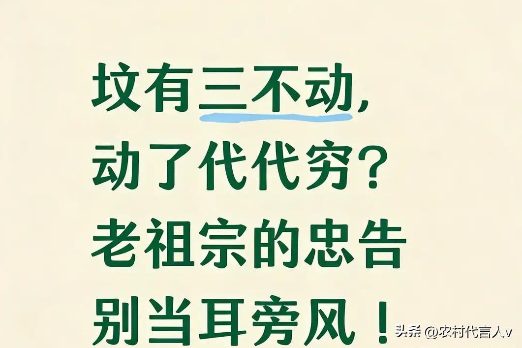 坟有三不动，动了代代穷？看懂的人都守住了家族福气。
 
“祖坟是根，动错了伤根基