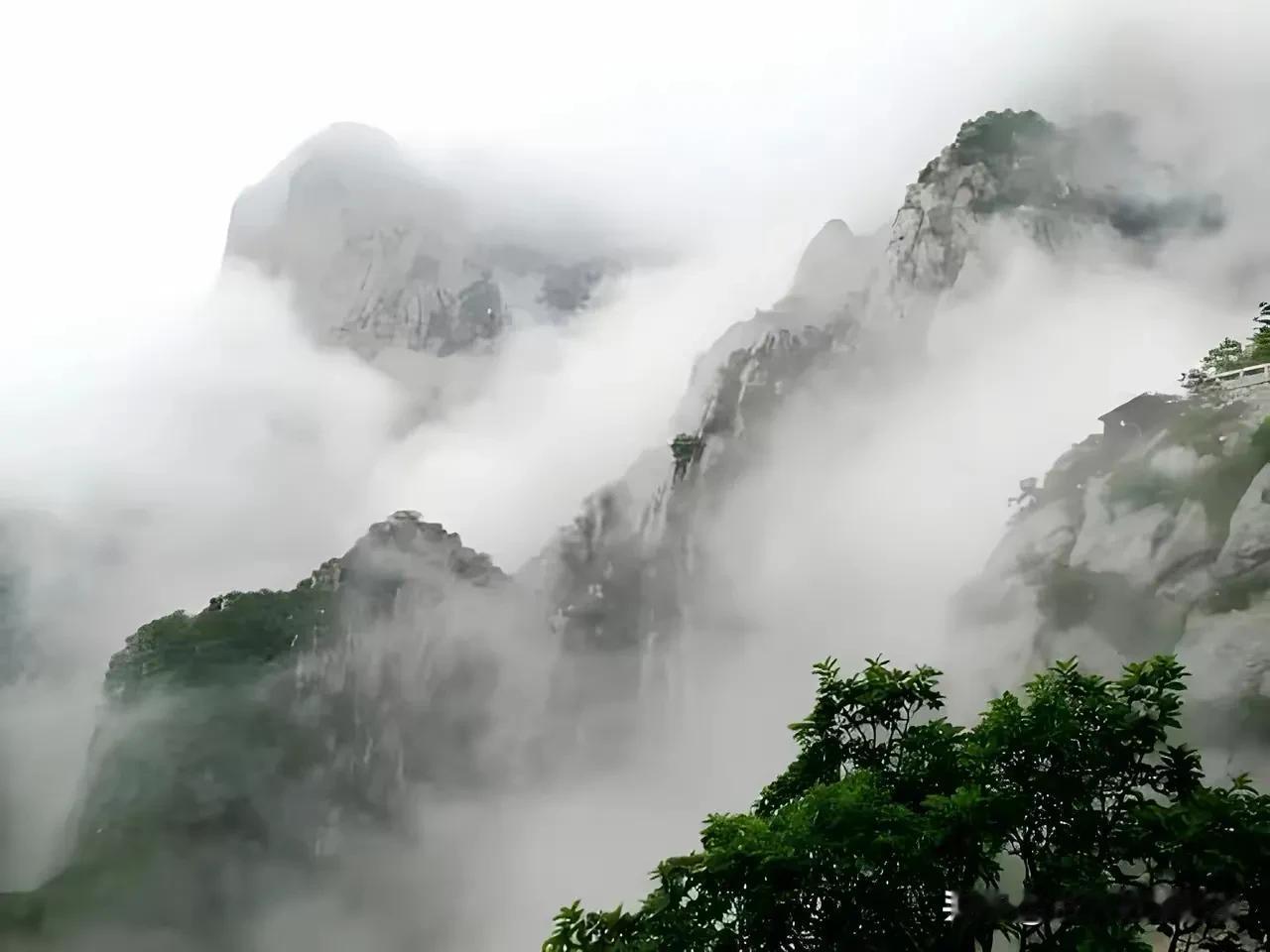 云蒸霞蔚