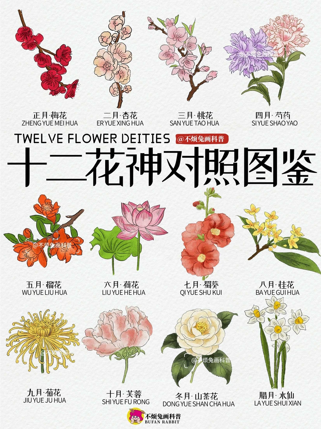 📕十二花神对照表，这才是中国人该懂的浪漫！