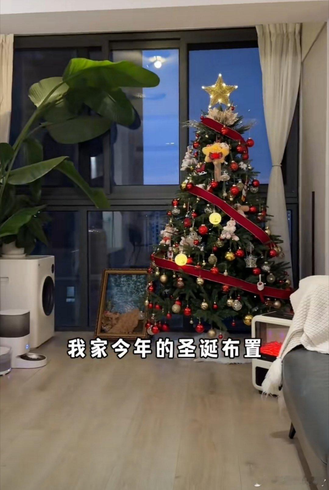 预制的风还是吹到了圣诞 哈哈哈哈，尽管‘预制的风’这个概念听起来有些抽象，但它确