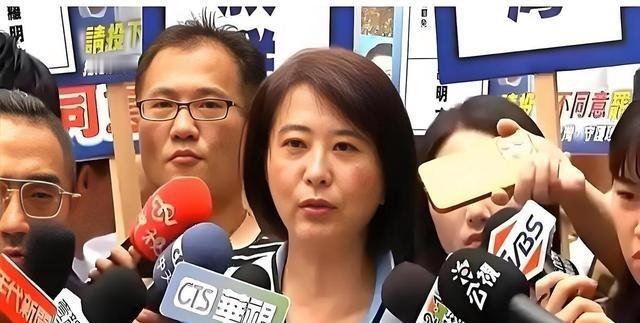 国民党立委王鸿薇提出，若解放军未来再次举行围台军演，国民党方面可能与民进党合作推