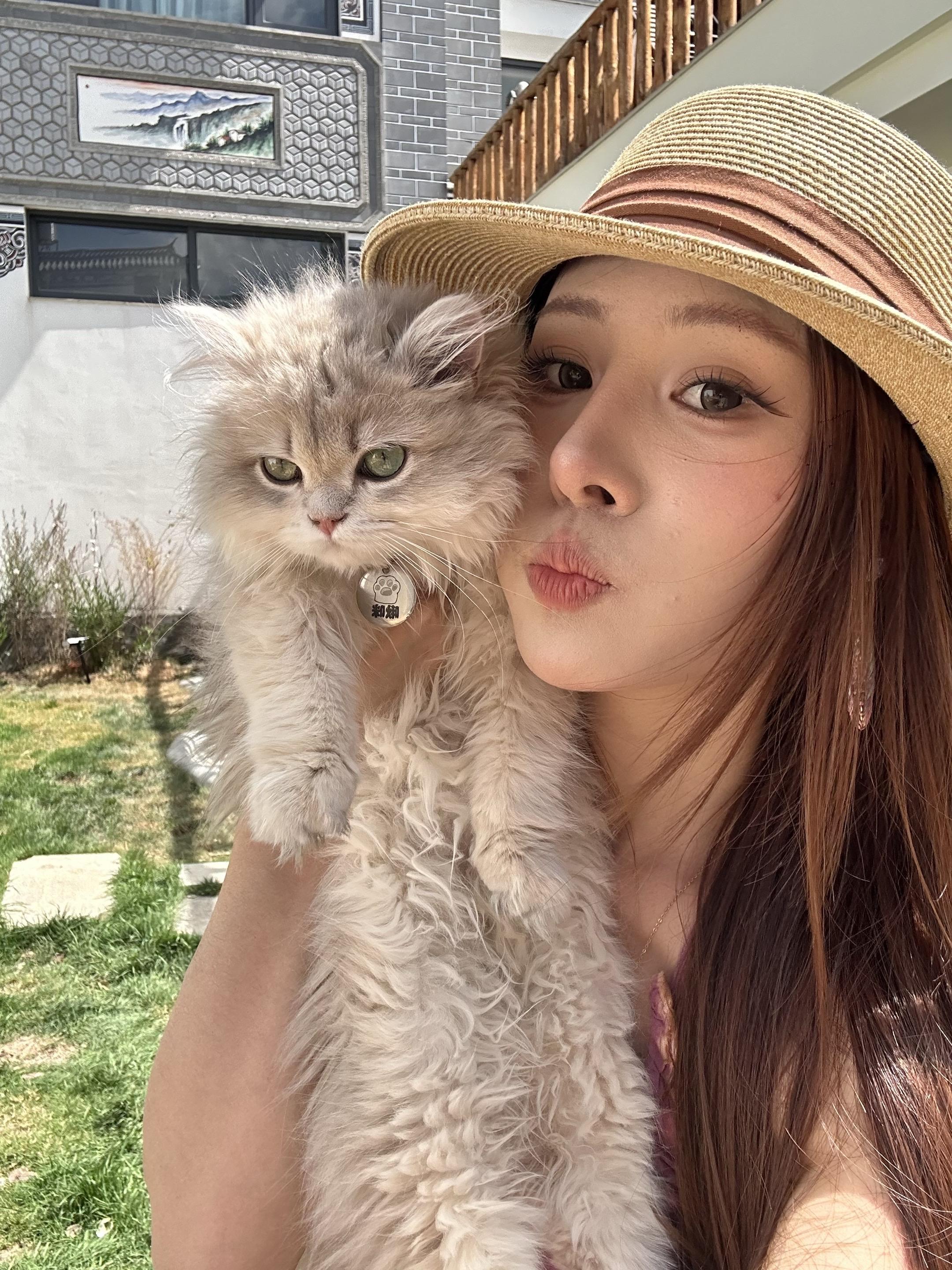 人生不需要大道理 但需要到大理