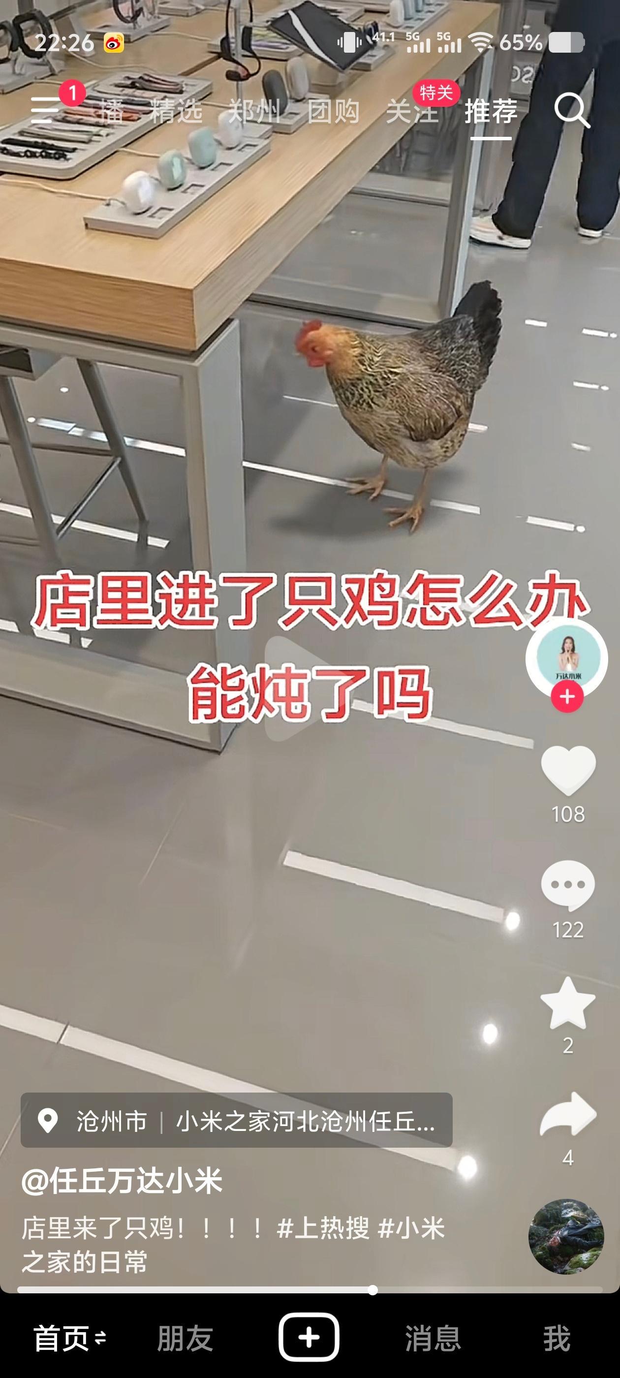 小米之家进了一只鸡，是找小米吗[doge] ​​​