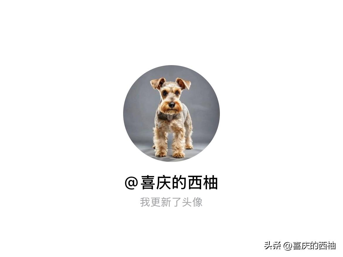 快来看看我新换的头像吧