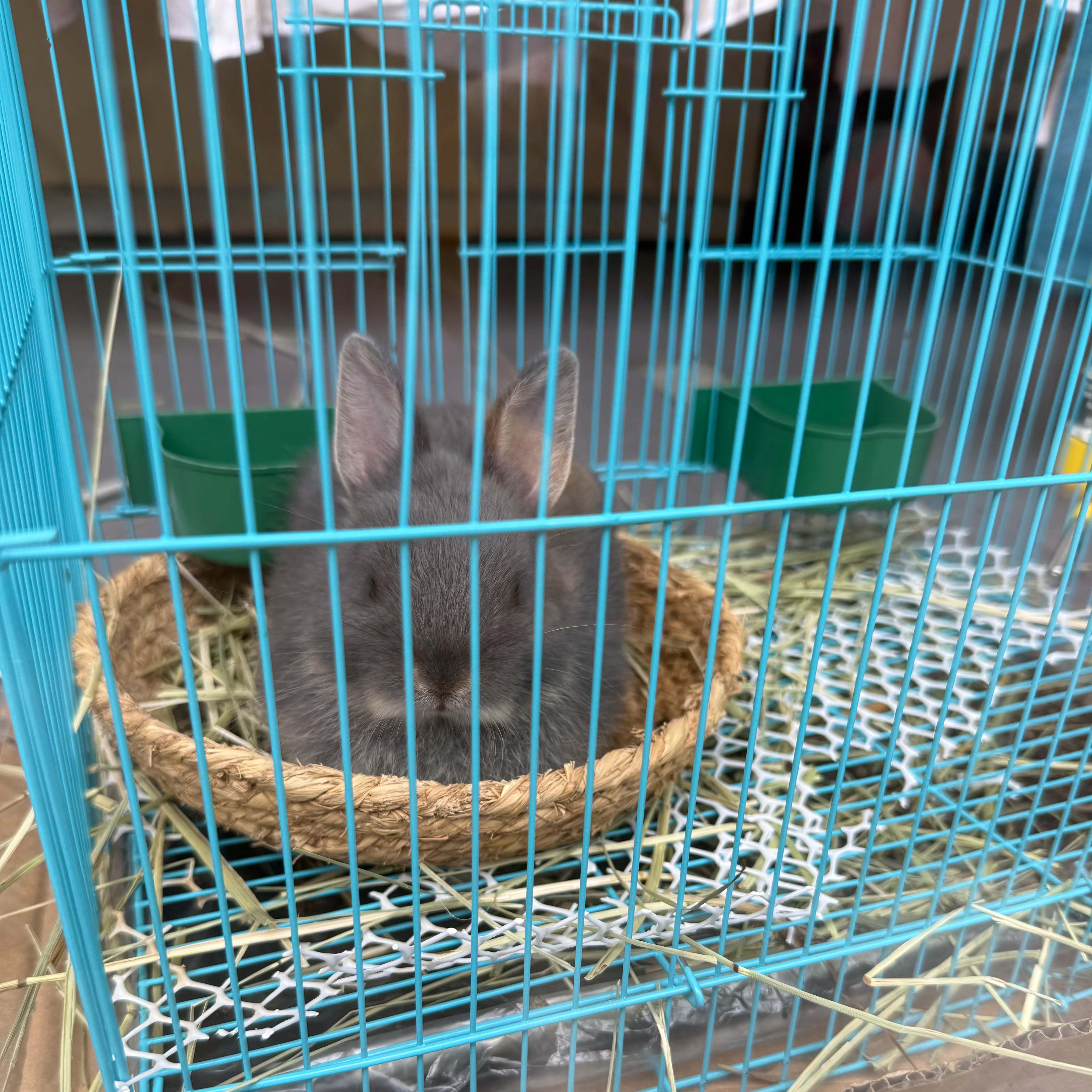 爱拼才会赢 ​​​