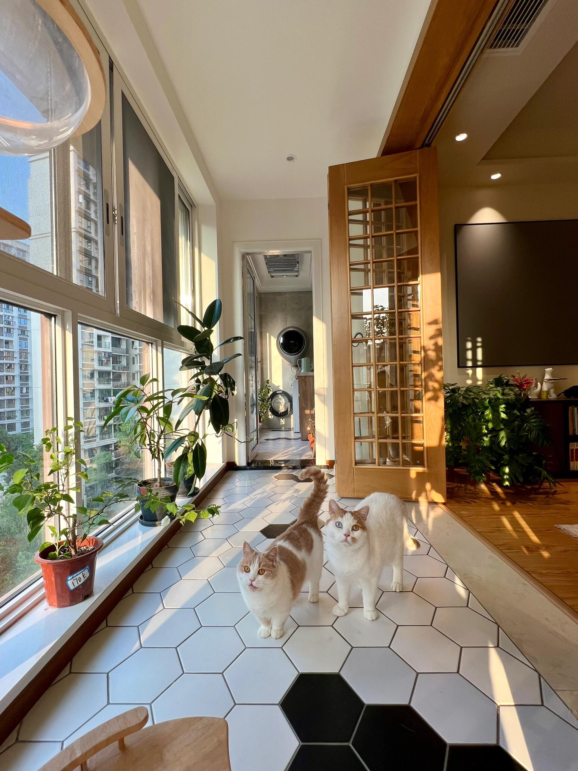 没错！这就是父母口中不欢迎亲戚的家！ 