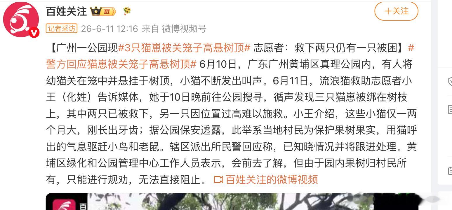 国外动保认为狗跟着流浪汉没有福利，抢夺身边的流浪狗。现在国内的也是直接偷盗别人家