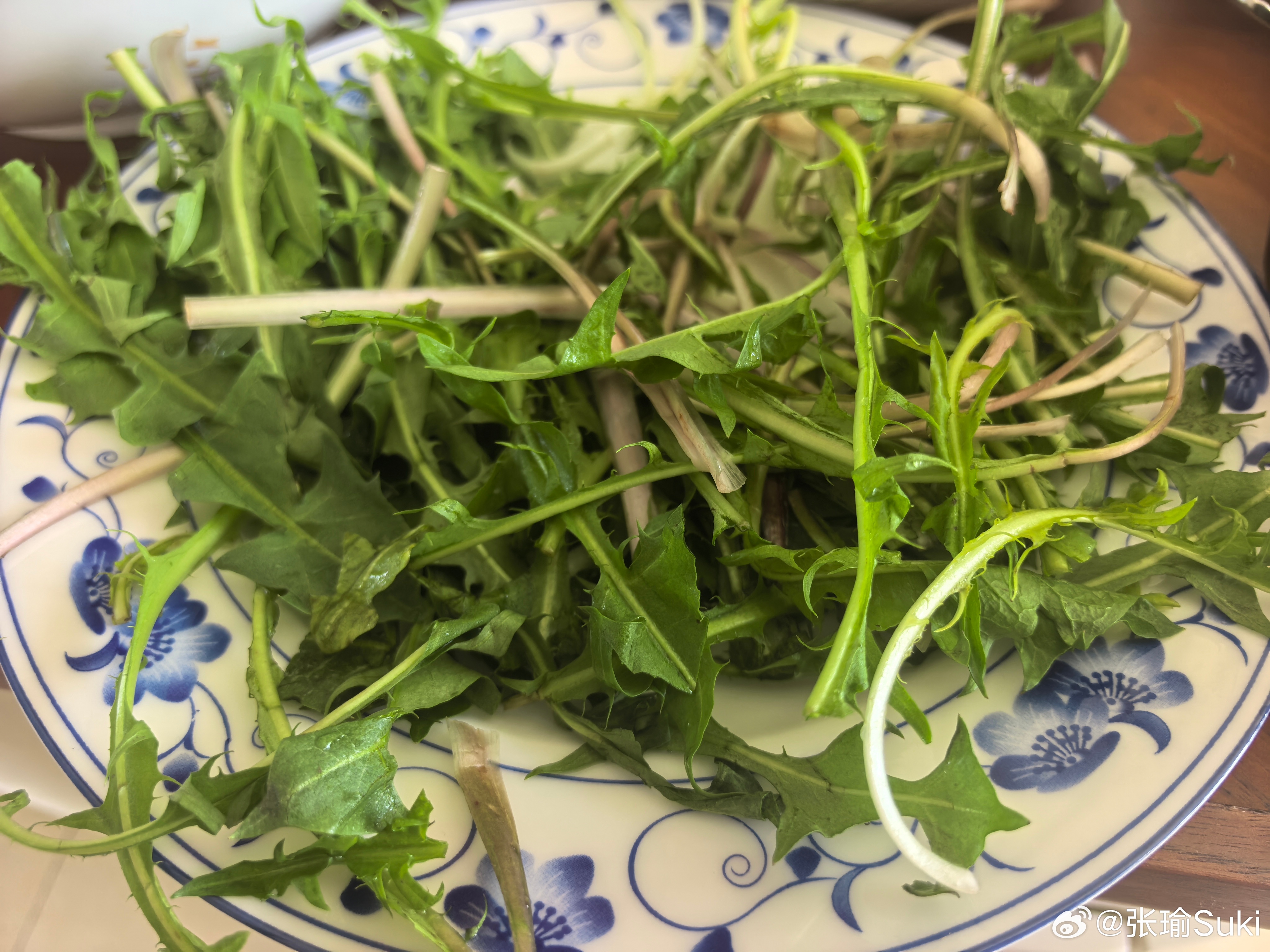 快40岁的东北人，谁不想来上一口绿化带呢！ 