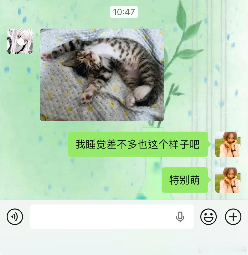 没毛 