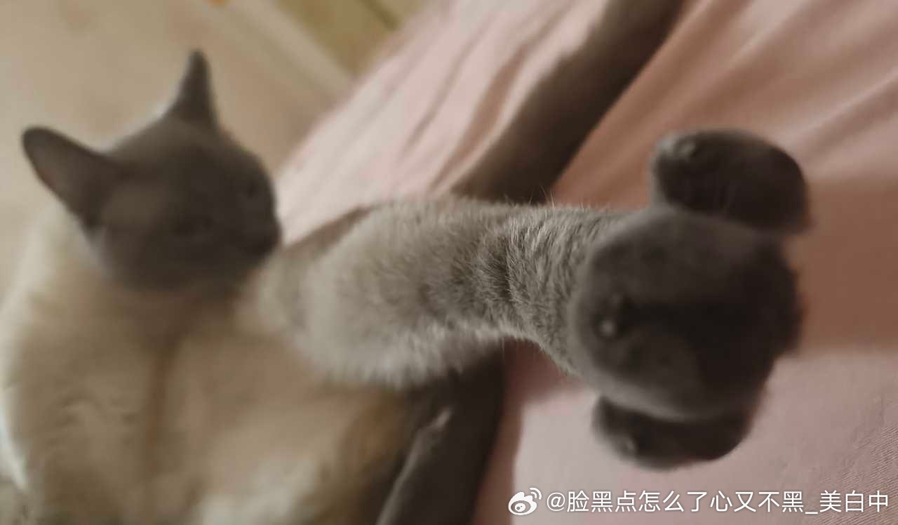 3928只黑脸透视真的太简单了 