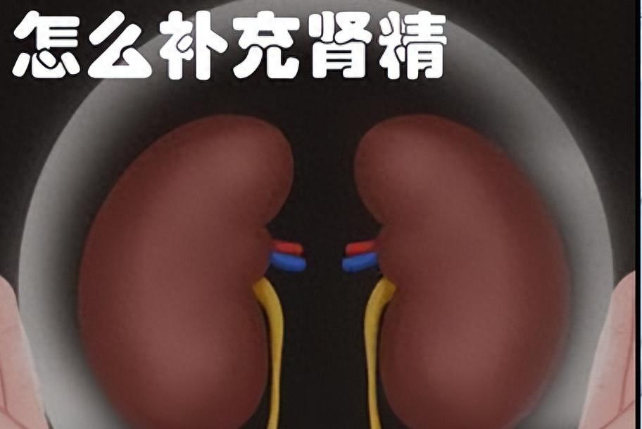 补精不固精，100 瓶五子衍宗丸也白搭！1 个药填精锁精，远离肾虚！
大家好，我