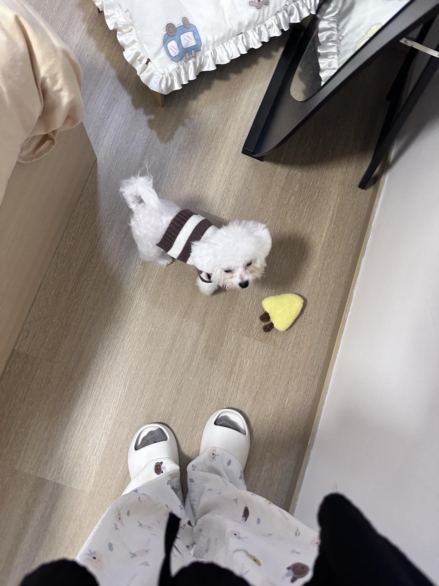 If U ➕罗生门真的太适合plog 了！