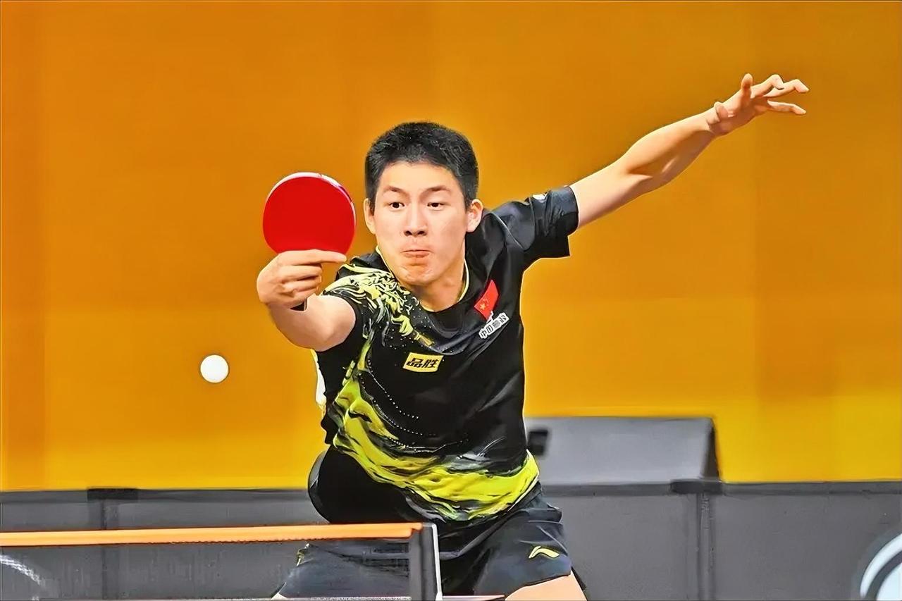 乒超U19最具潜力小将深度解析：温瑞博，国乒下个周期的核心单打储备
 
2007