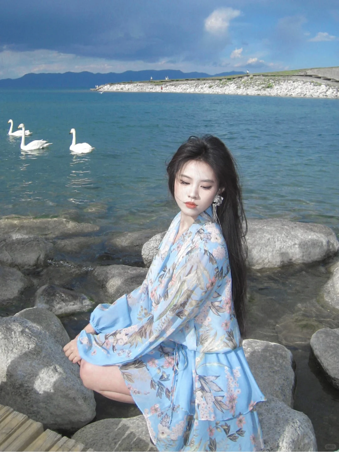 追到了赛里木湖的天鹅🦢
