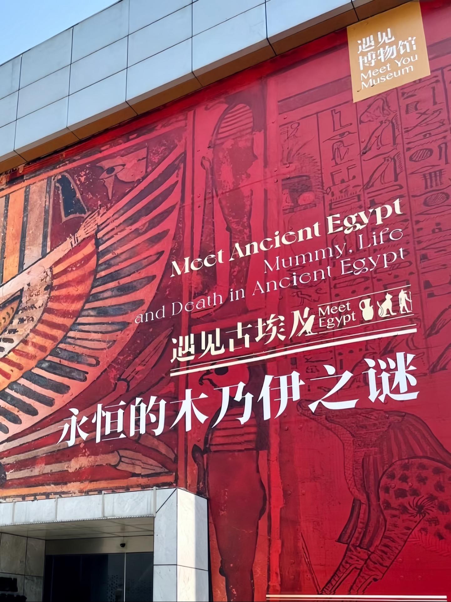 不用出国就能近距离感受古埃及文明。现场有从英国运来的真实木乃伊！