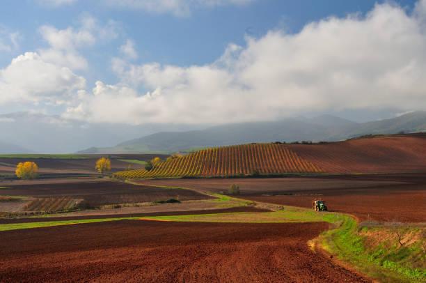 一位心理学者说：
讨好型人格最狠的真相：你不是善良，你是“怕被抛弃”。
讨好型人