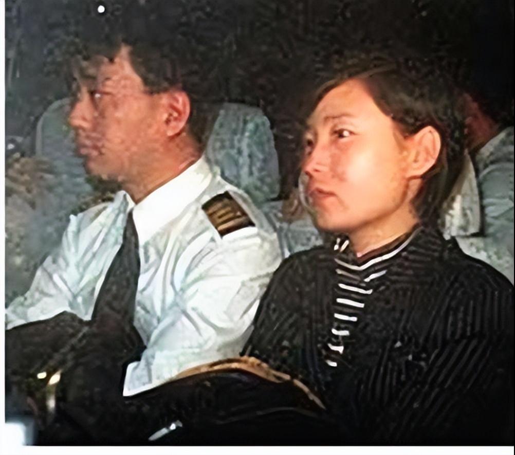 1998年，中国国航机长袁斌怀揣着发财梦，携妻子劫机飞往台湾。没想到，等待他们的