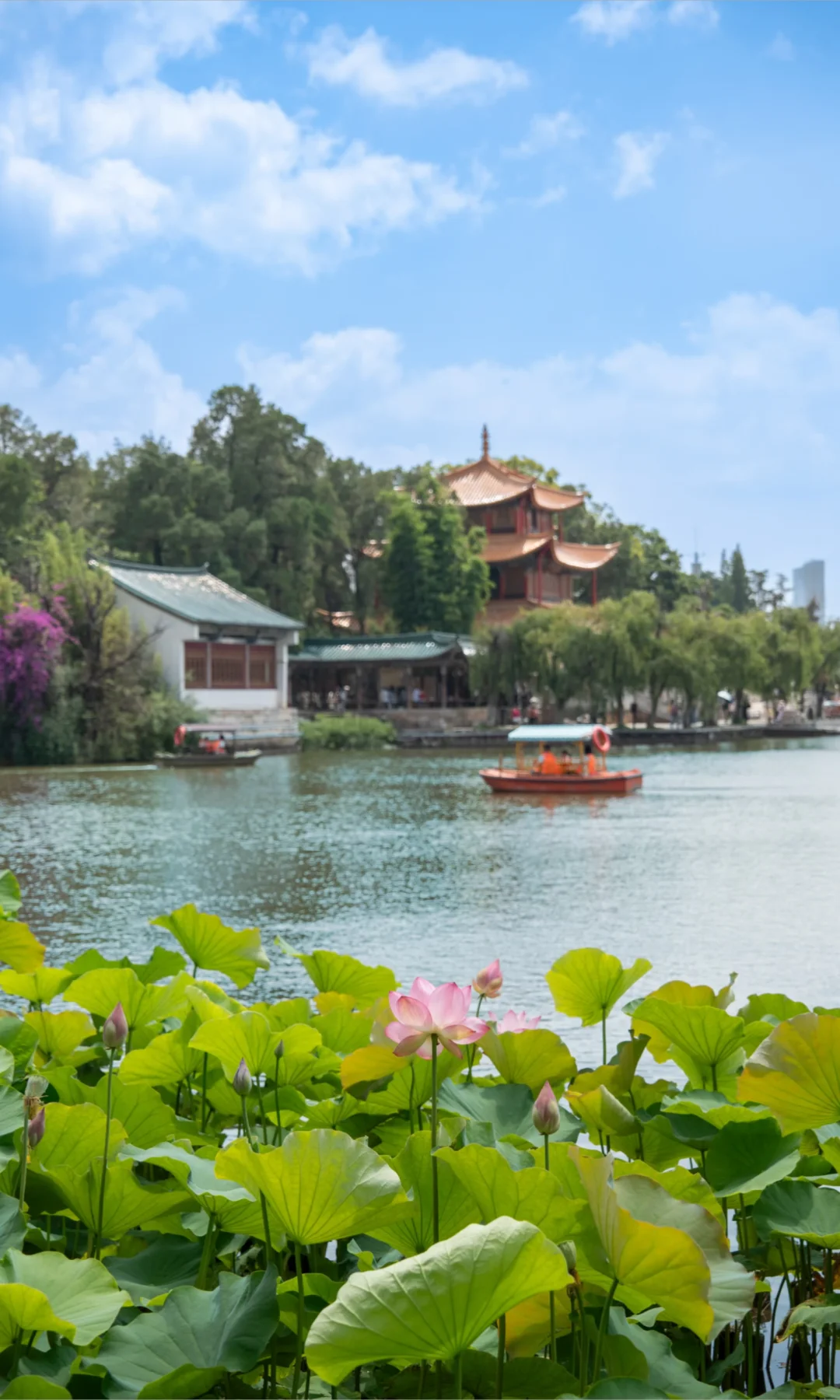 我宣布：这里不是颐和园，是昆明！