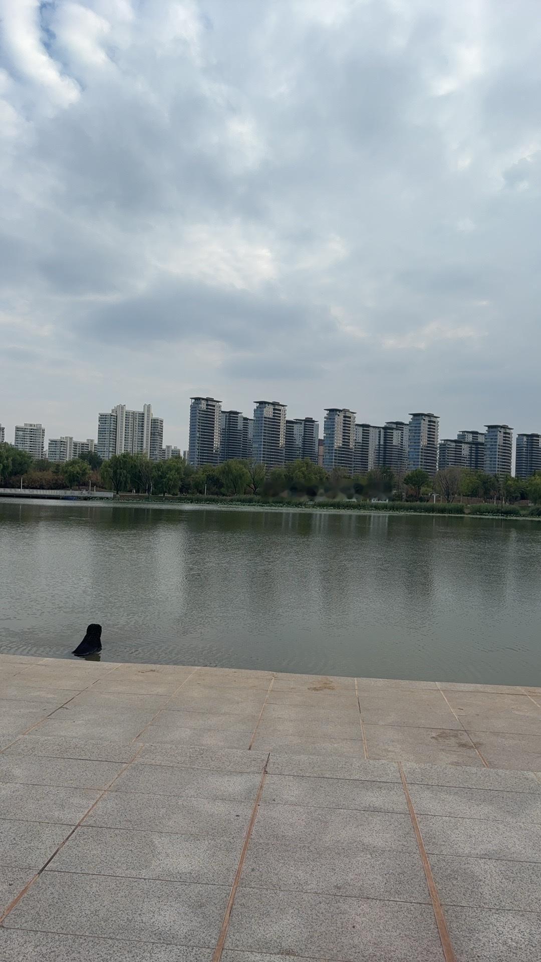 手机随手拍原创图片这景色，生灵都有机会欣赏