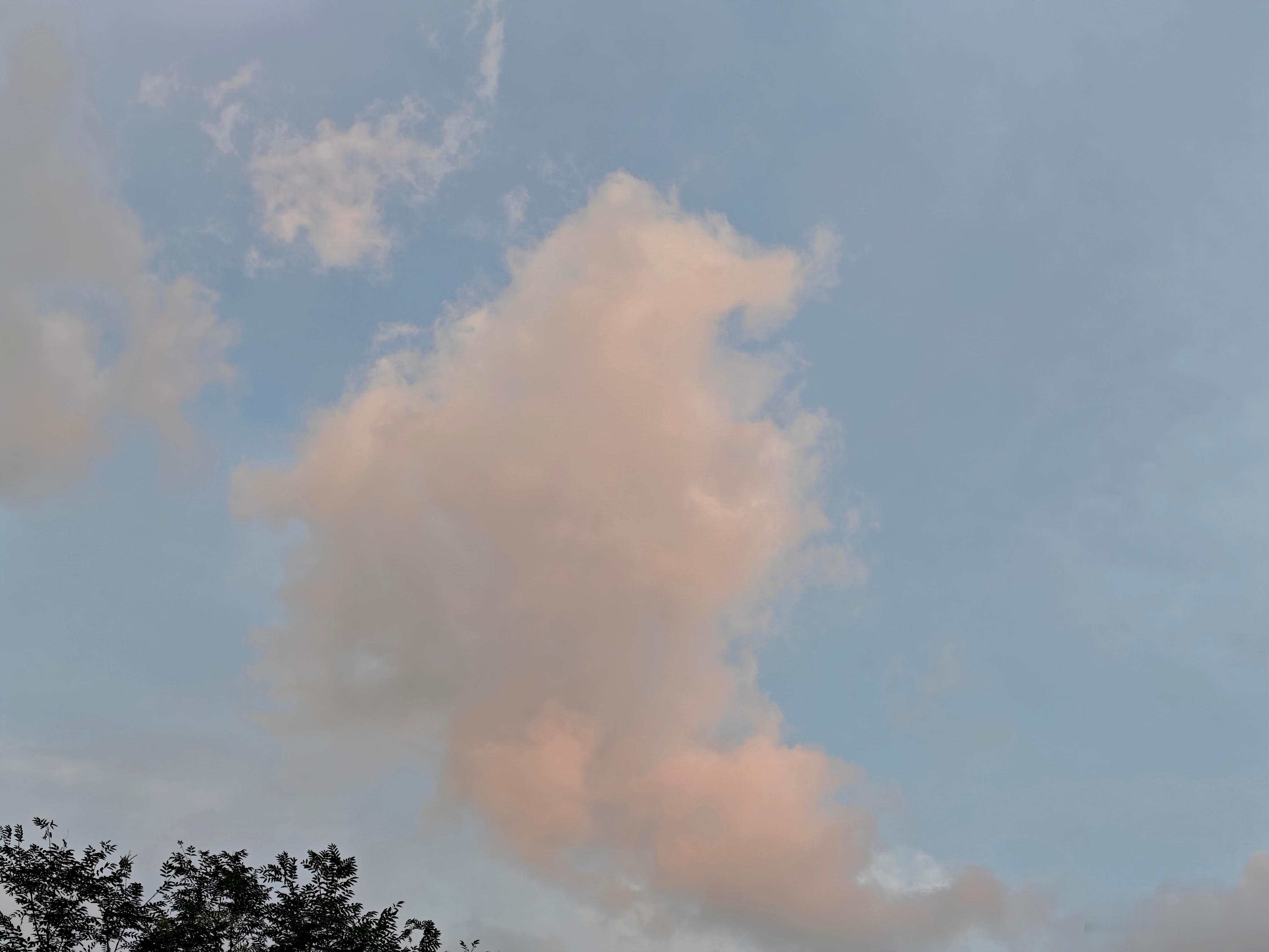 今日倒头条